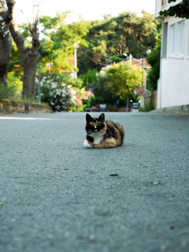 Photograph by Рафаэль Вахитов