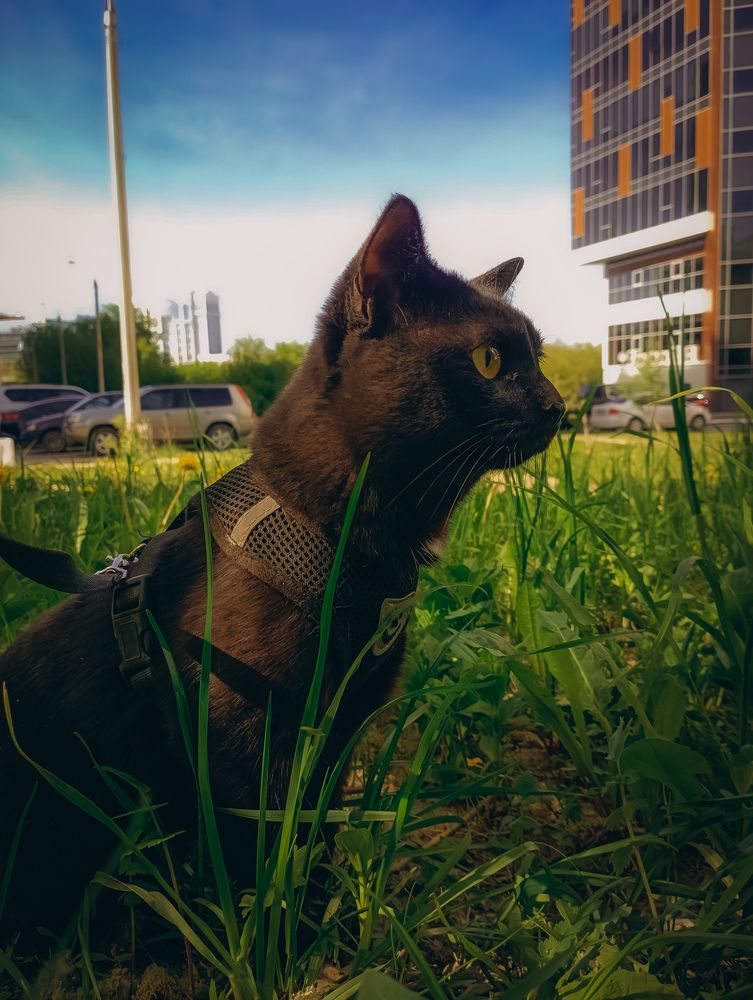 Photograph by Елена Ерасова