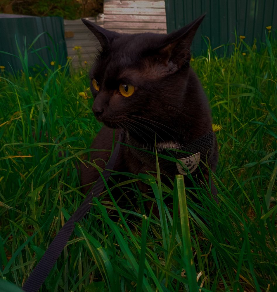 Photograph by Елена Ерасова