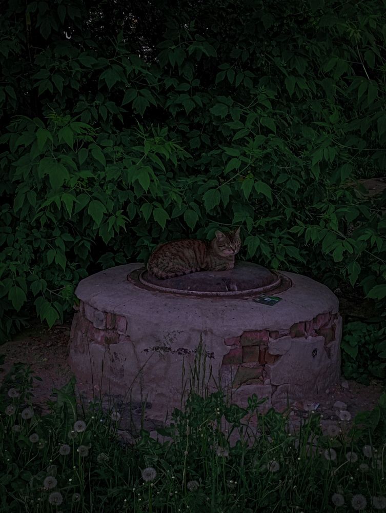 Photograph by Елена Ерасова