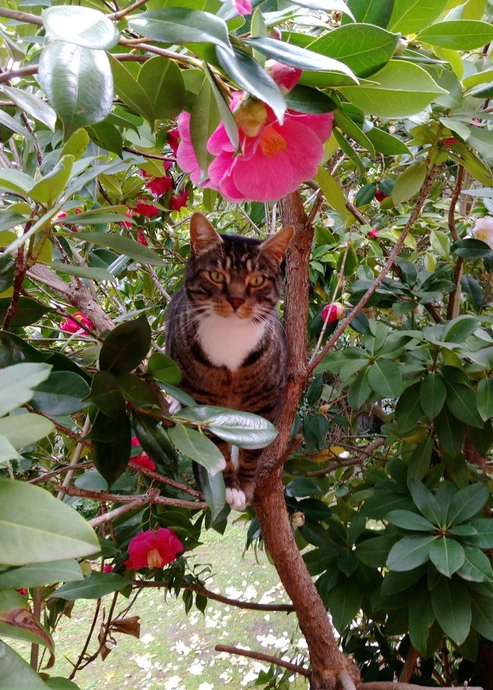 Photograph by Luba Kurchina