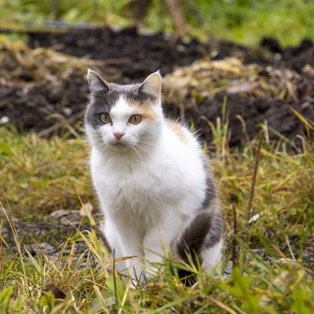 Photograph by Mikhail Tatanov