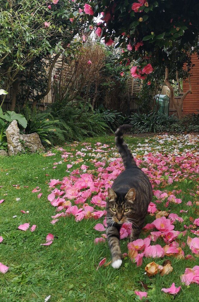 Photograph by Luba Kurchina