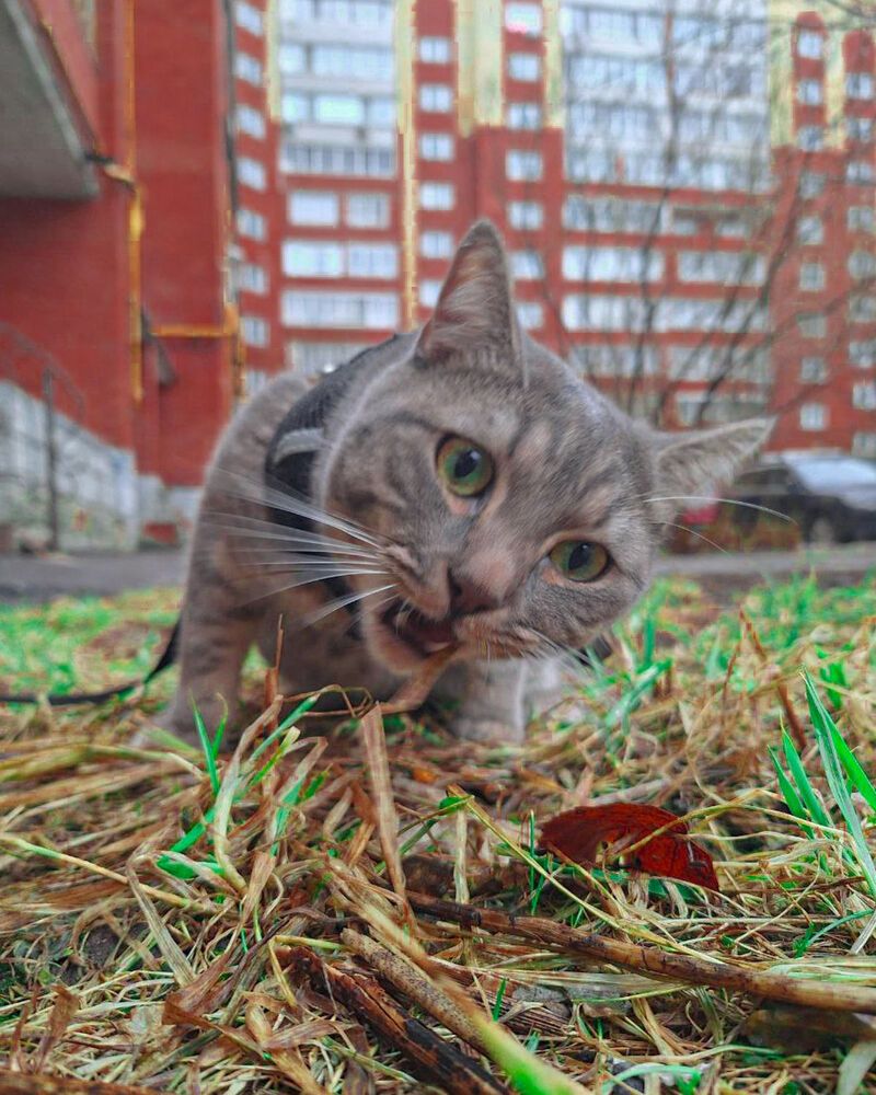 Photograph by Елена Ерасова