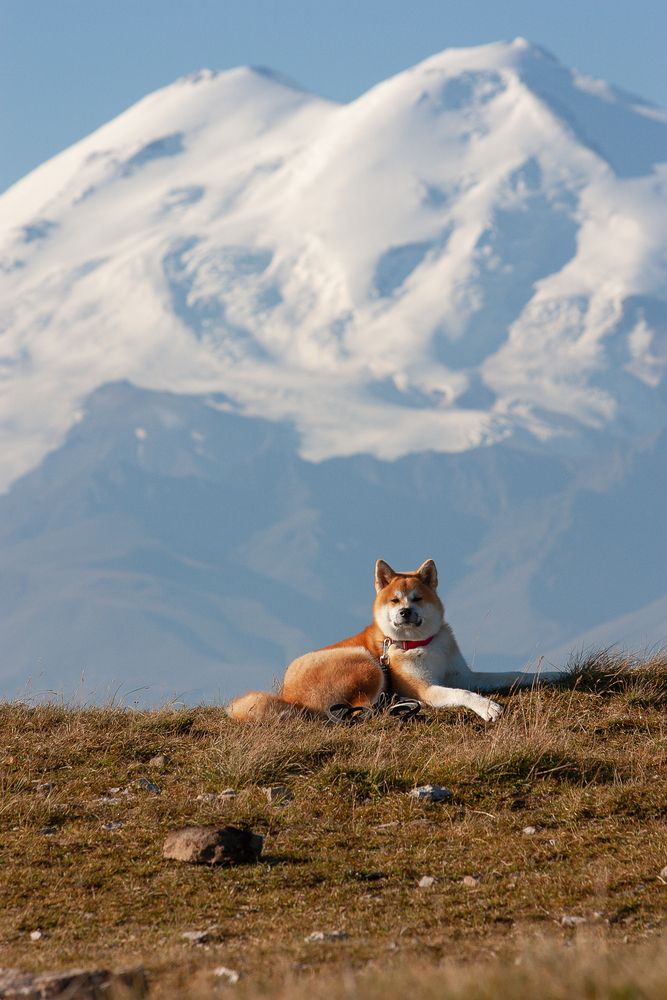 Photograph by Елена Ненашкина