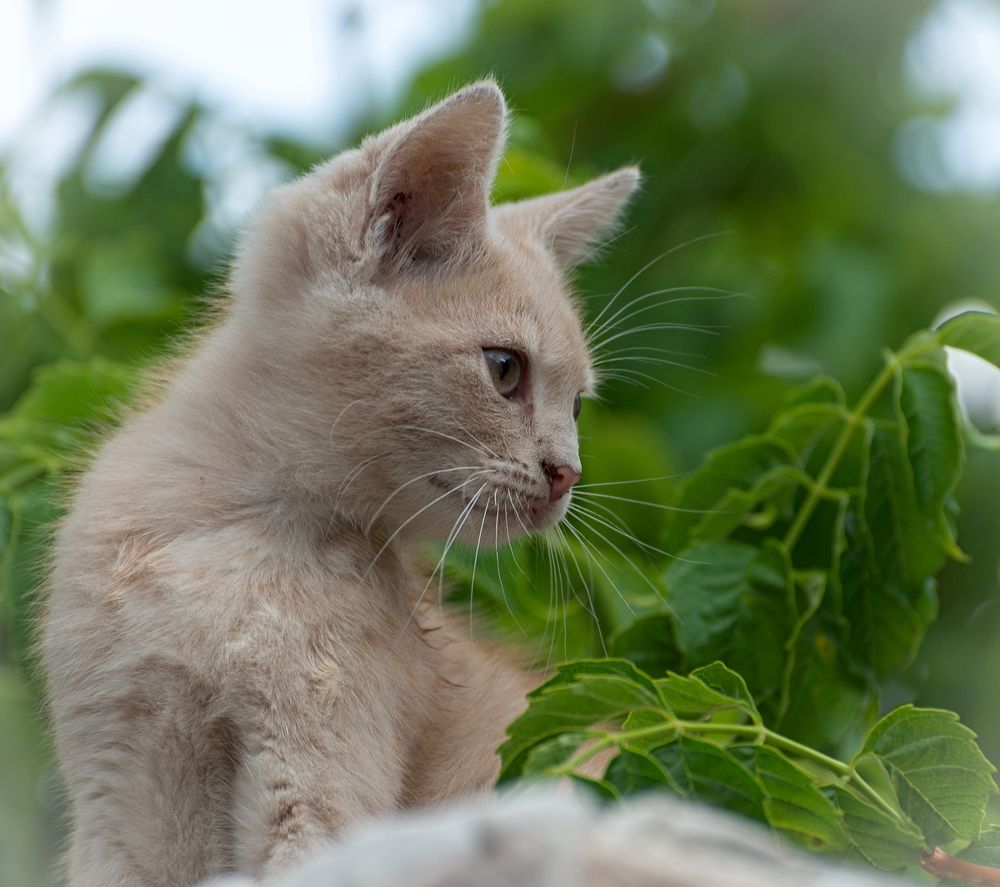 Photograph by Сергей Басов