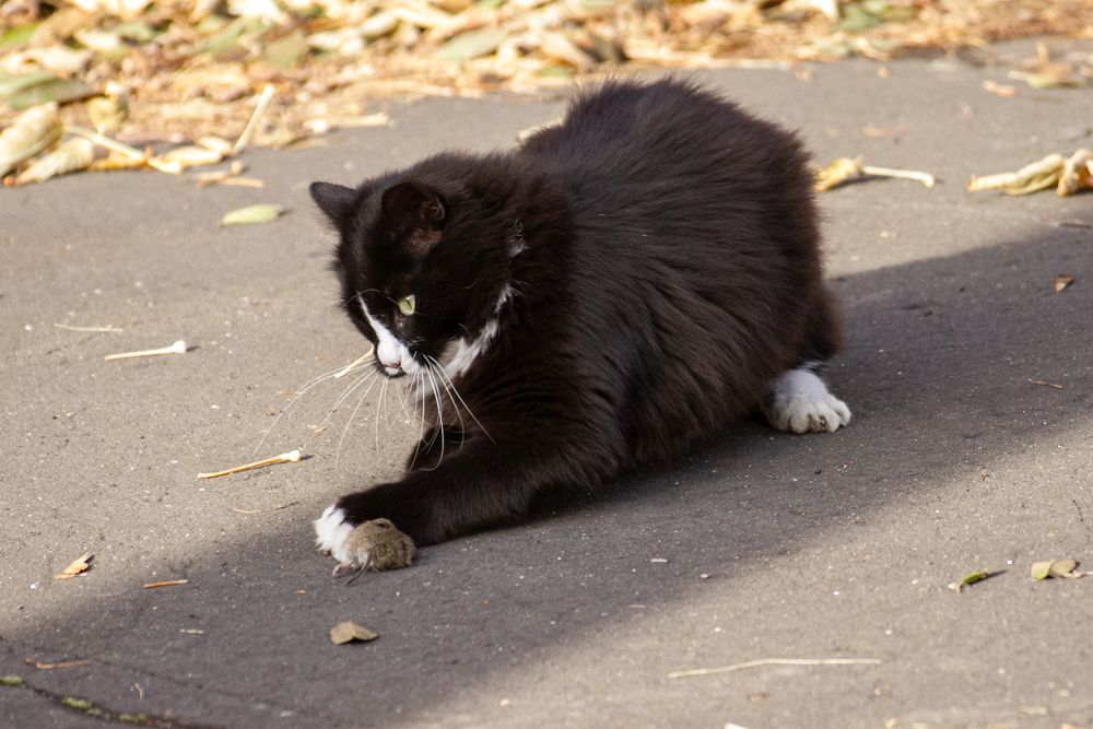 Photograph by Юрий Клишин