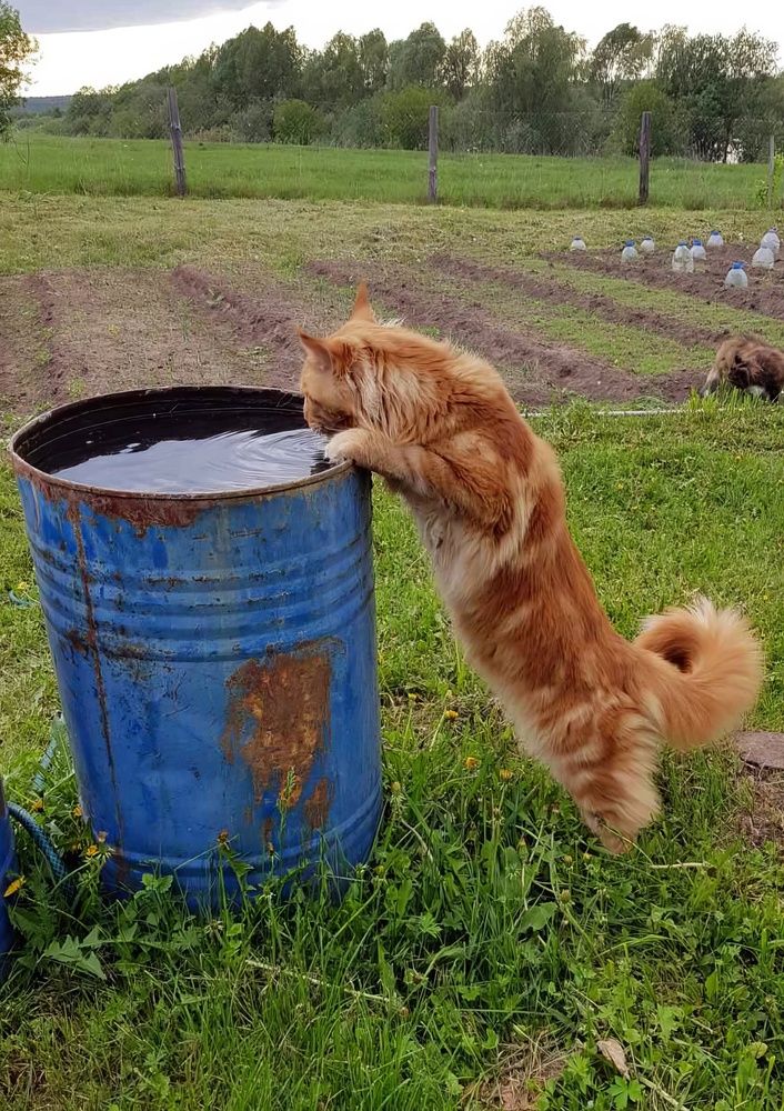 Photograph by Глеб Кузьминых