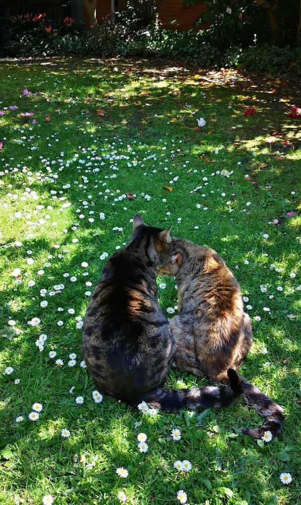 Photograph by Luba Kurchina