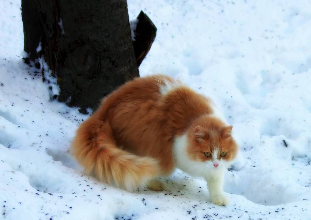 Photograph by Глеб Кузьминых