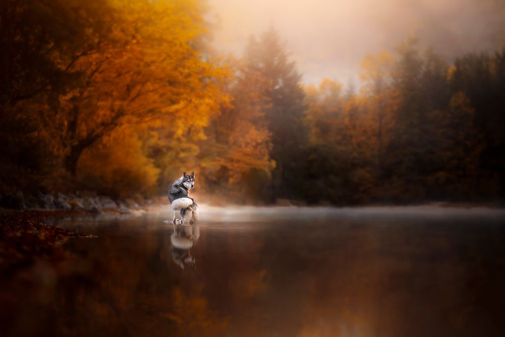 A heart in autumn colors.