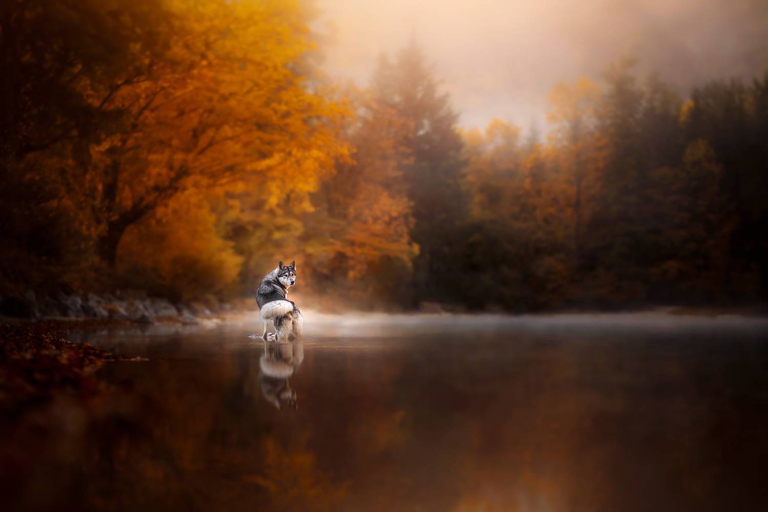 A heart in autumn colors.