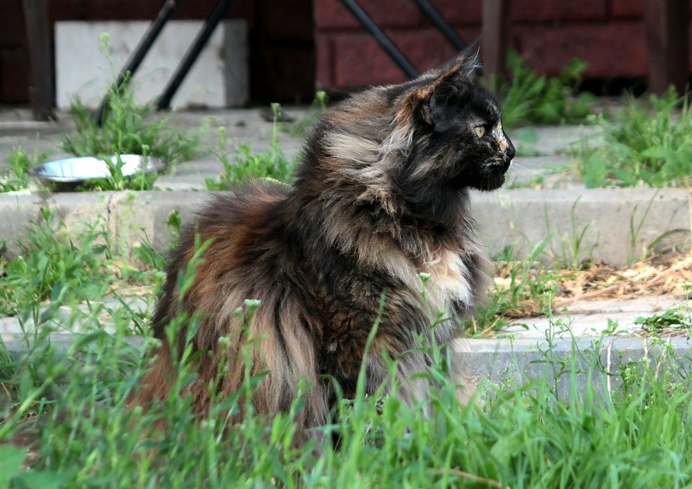 Photograph by Глеб Кузьминых