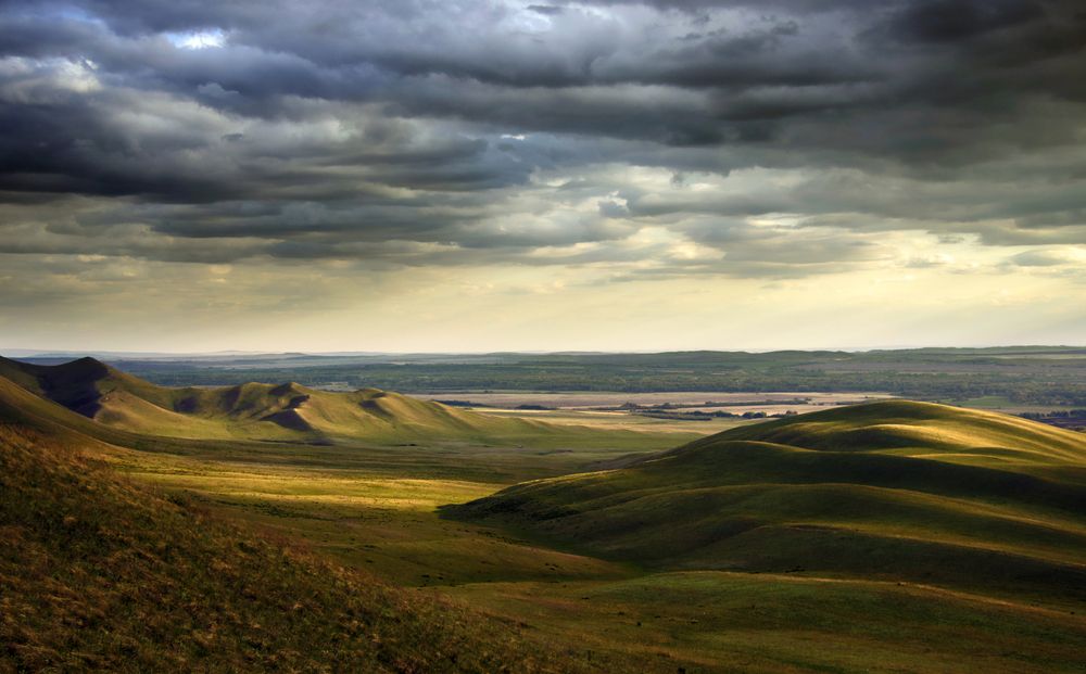Photograph by Галина Ильясова