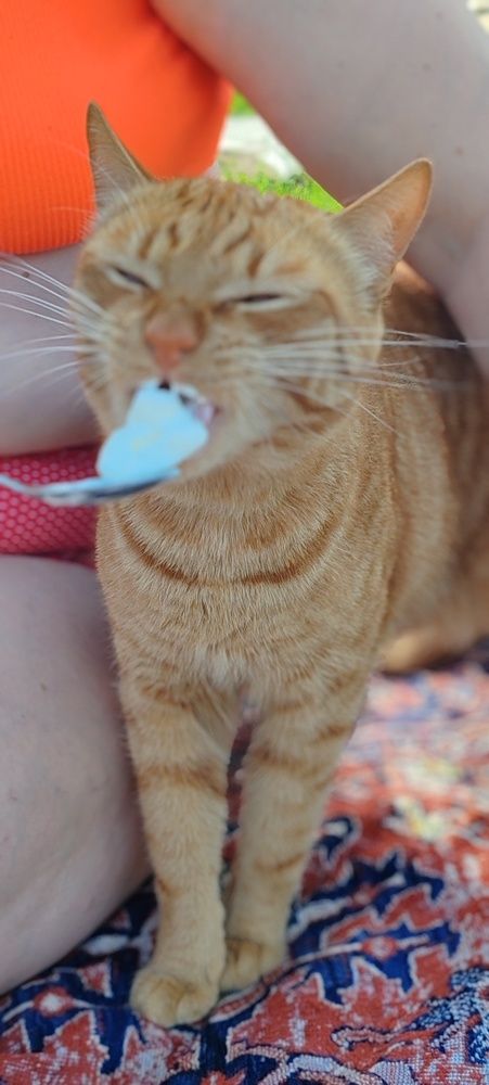 Фотография автора Ольга