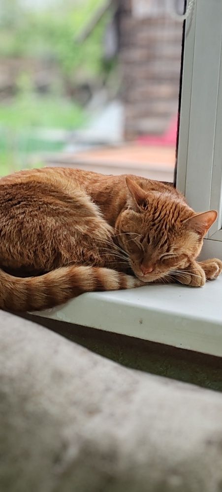 Фотография автора Ольга