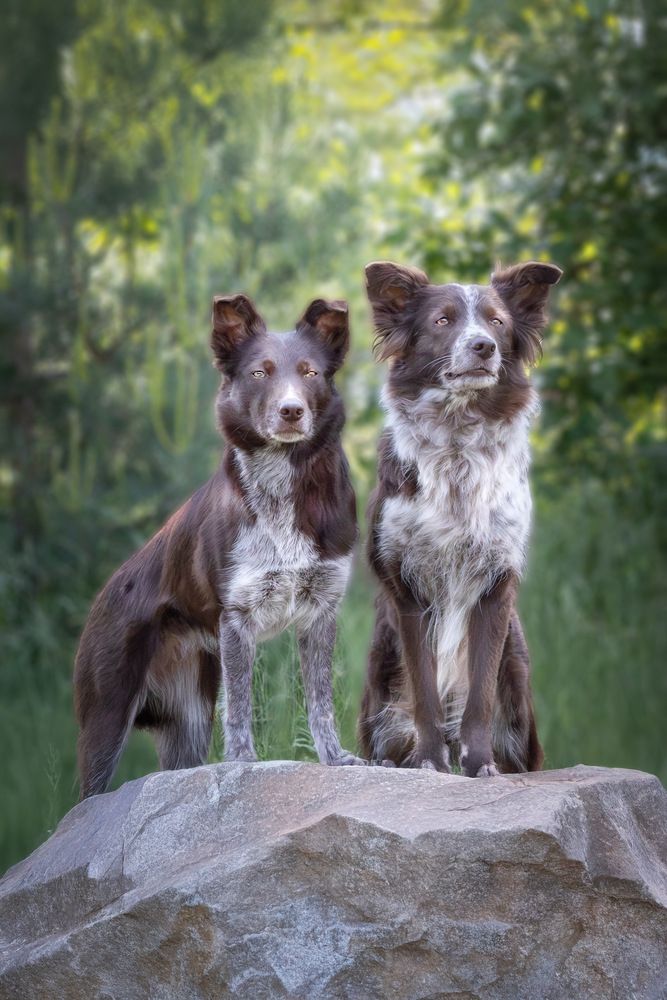 Фотография автора Наталья Якушонок