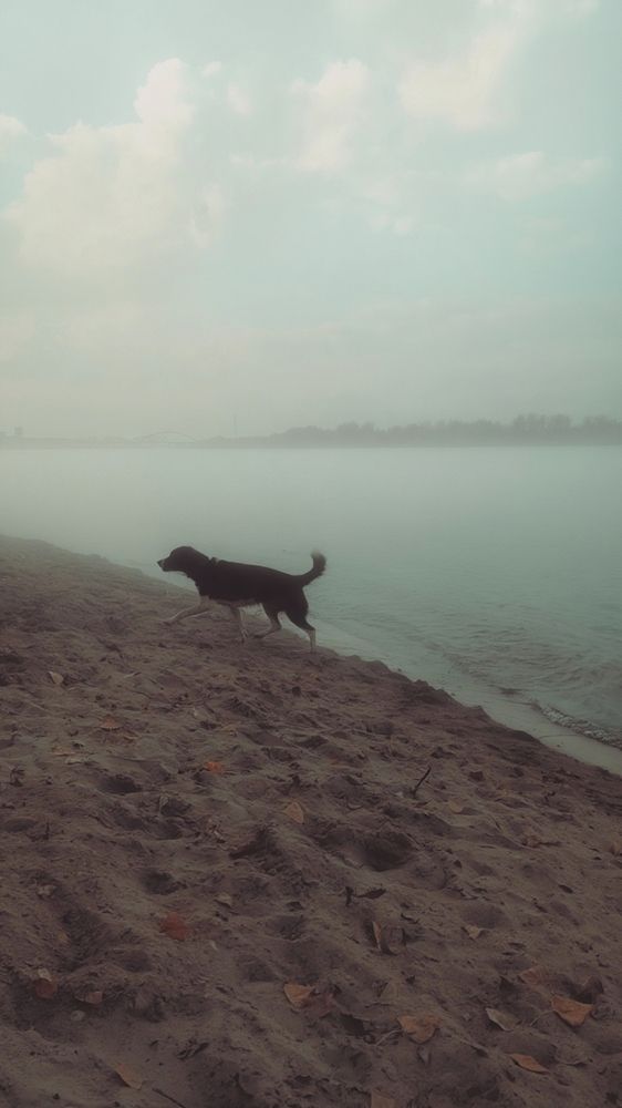 Фотография автора Елена Плешкова