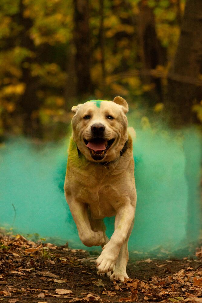 Photograph by Lubov Kirsanova