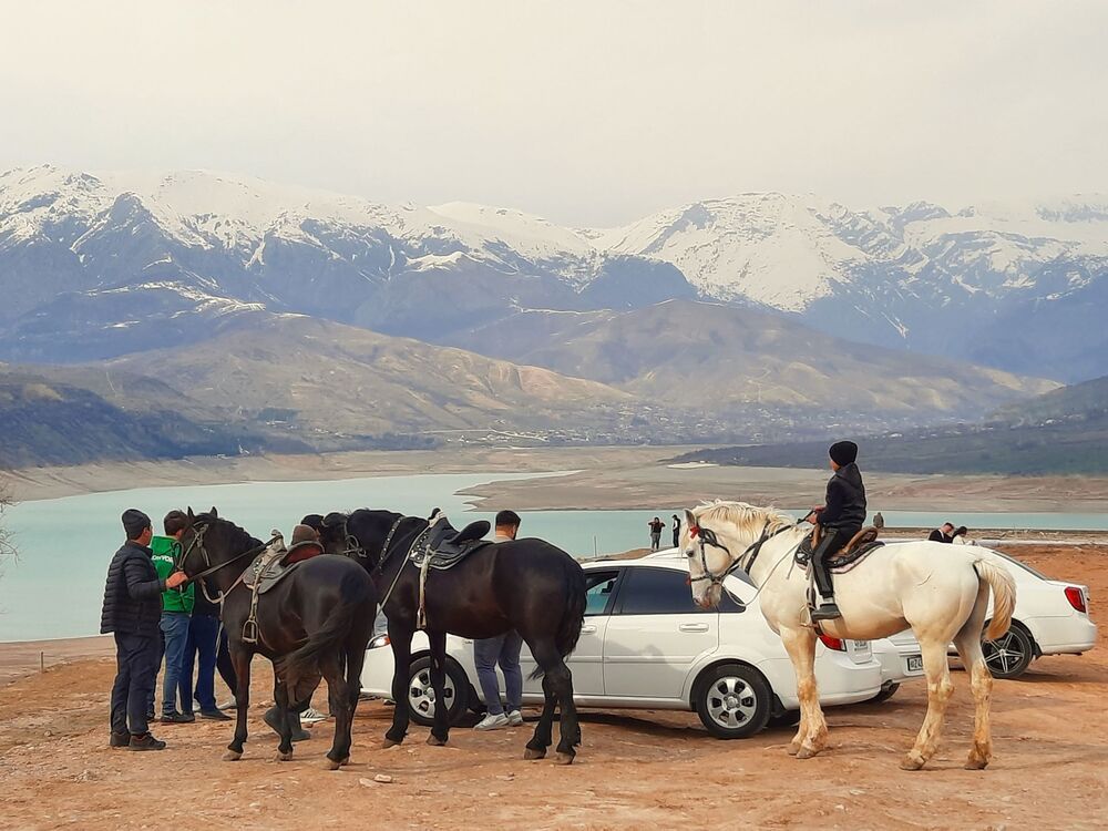 Фотография автора Елена Пикатова