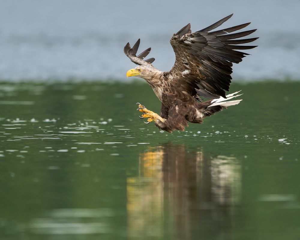 Photograph by Ruzhdi Ibrahimi