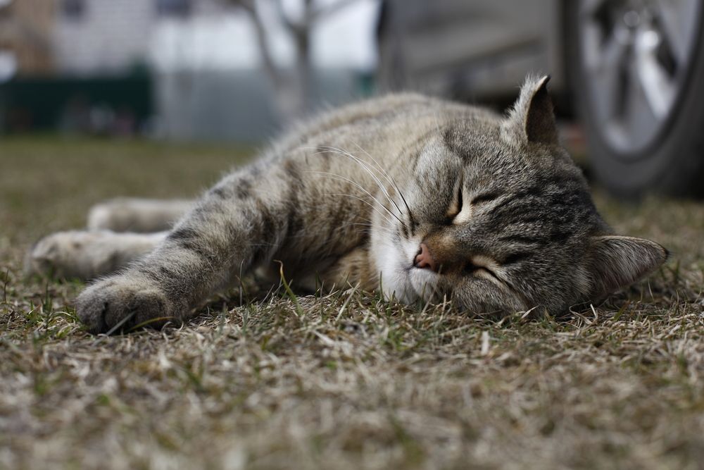 Photograph by Юлия Горчакова