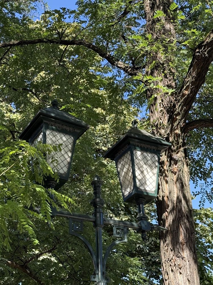 Photograph by Ольга Бородкина