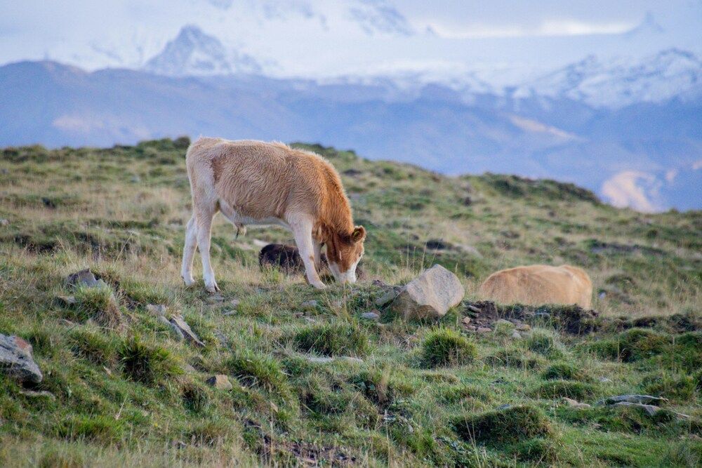 Фотография автора Eletskikh Georgii