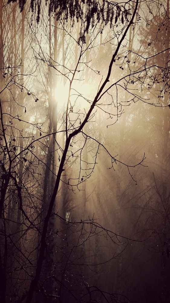 Photograph by Инна Мухина