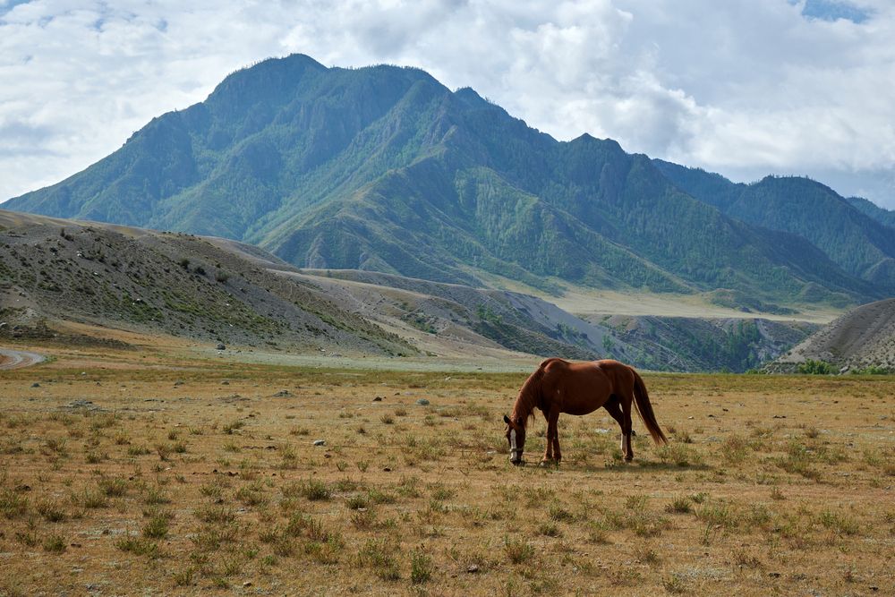 Photograph by Сергей Анисимов