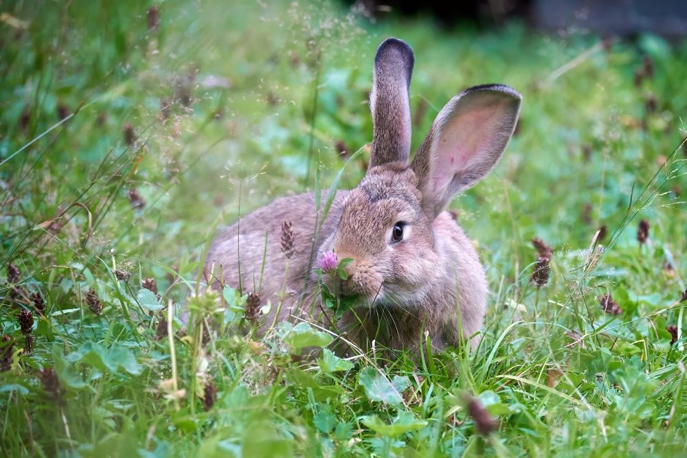 Photograph by Сергей Анисимов