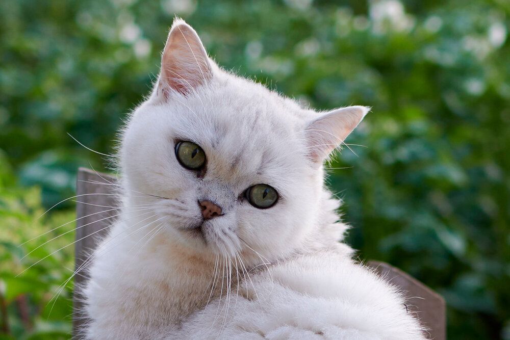 Photograph by Сергей Анисимов