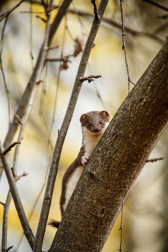 Photograph by Манушкина Зинаида