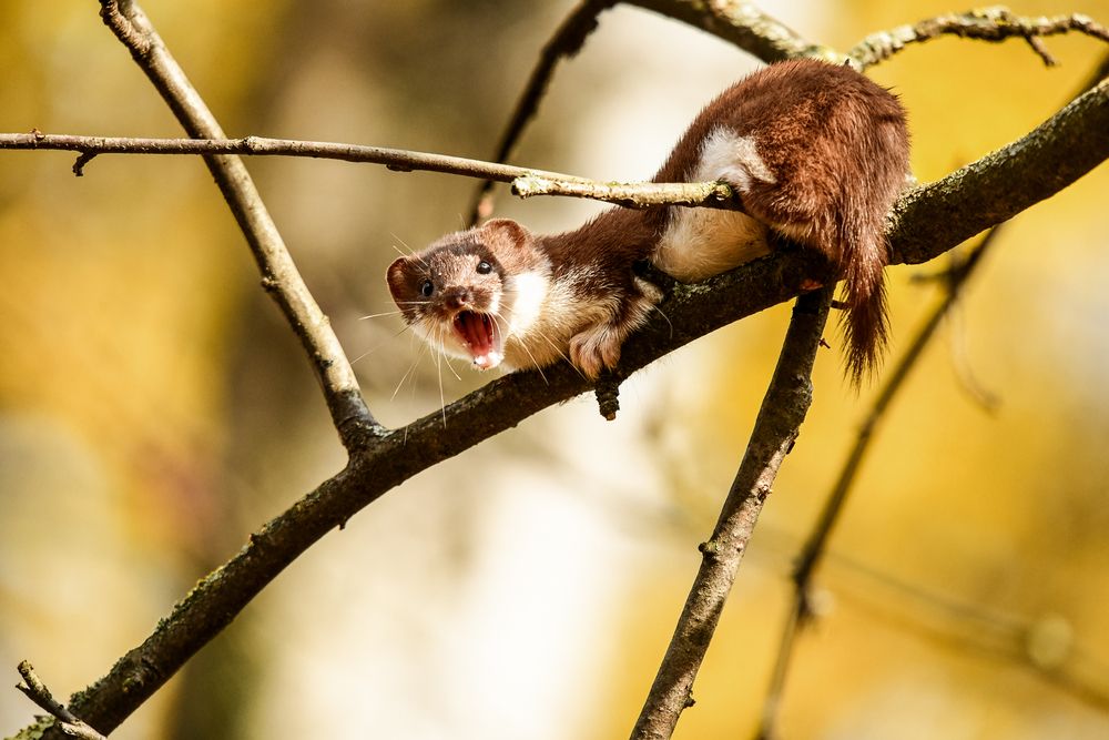 Photograph by Манушкина Зинаида