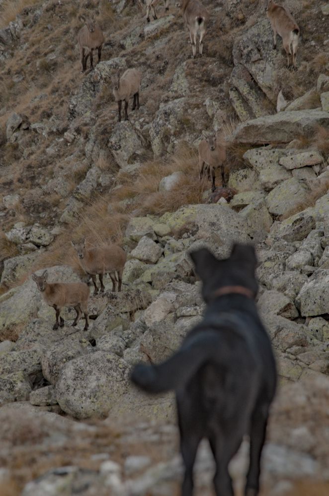 Photograph by Анна Орехова