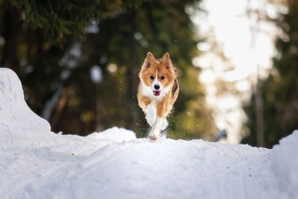 Фотография автора Ольга Кузина