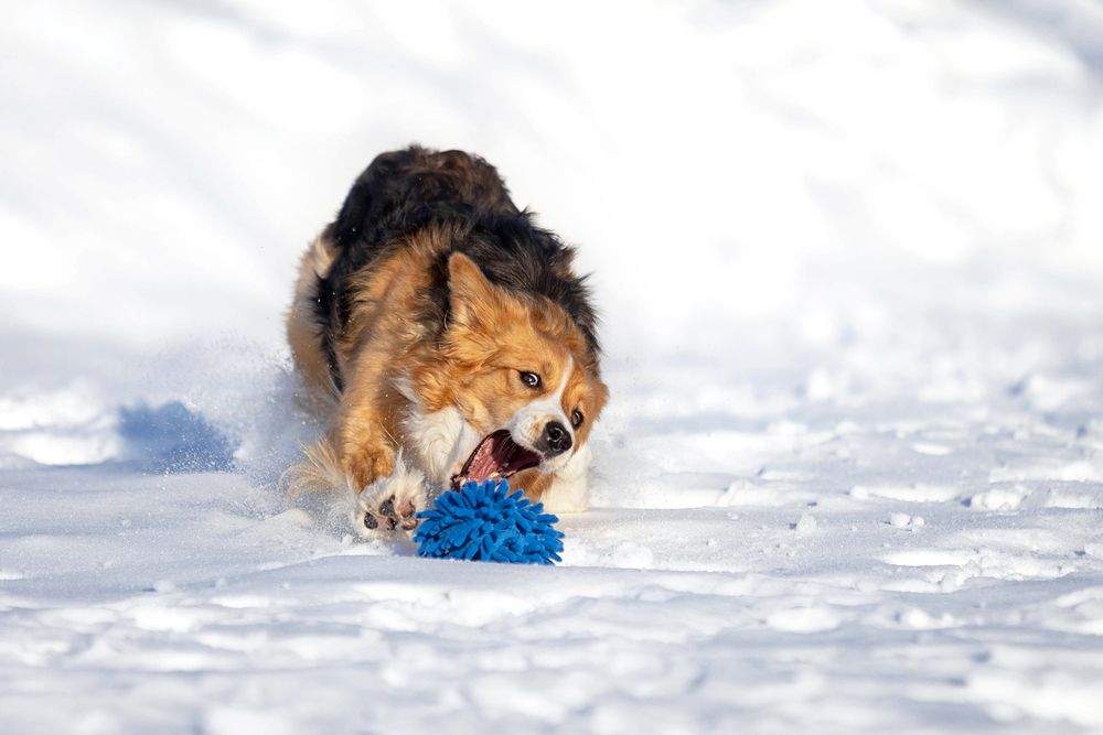 Фотография автора Ольга Кузина