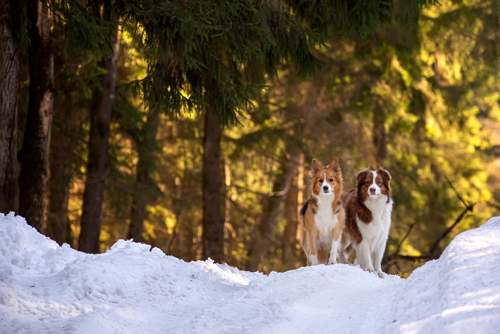 Фотография автора Ольга Кузина
