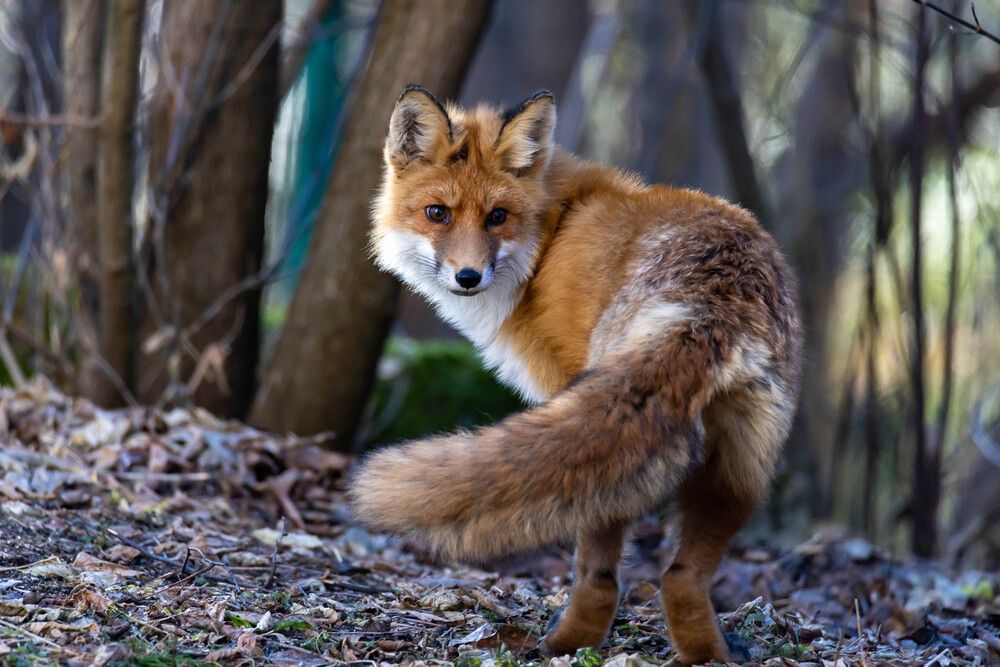 Photograph by Александр Ермаков