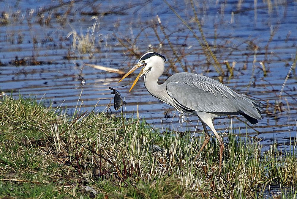 Фотография автора Александр