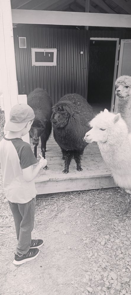 Фотография автора Ольга Петрова