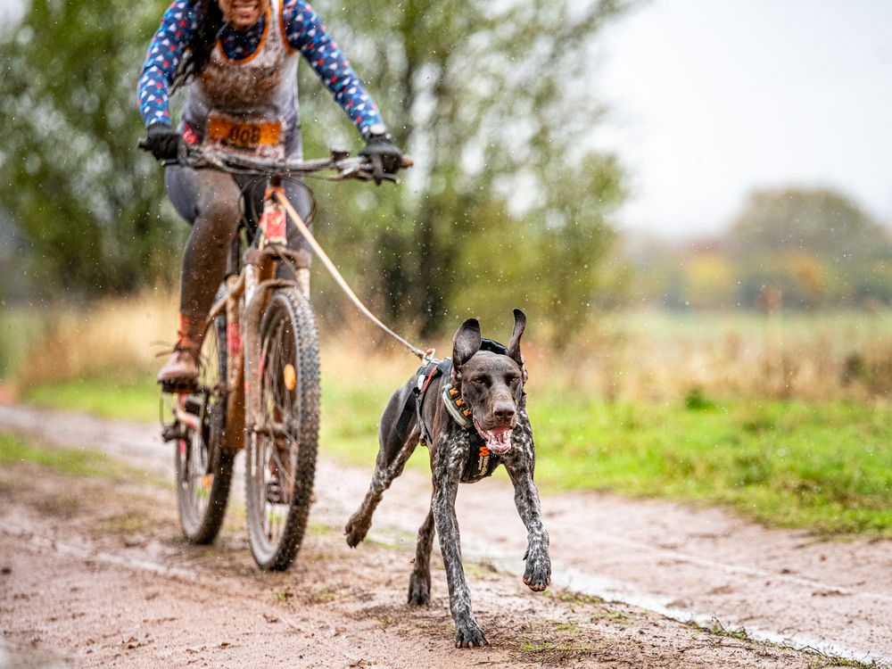 Фотография автора Елена Караилиева