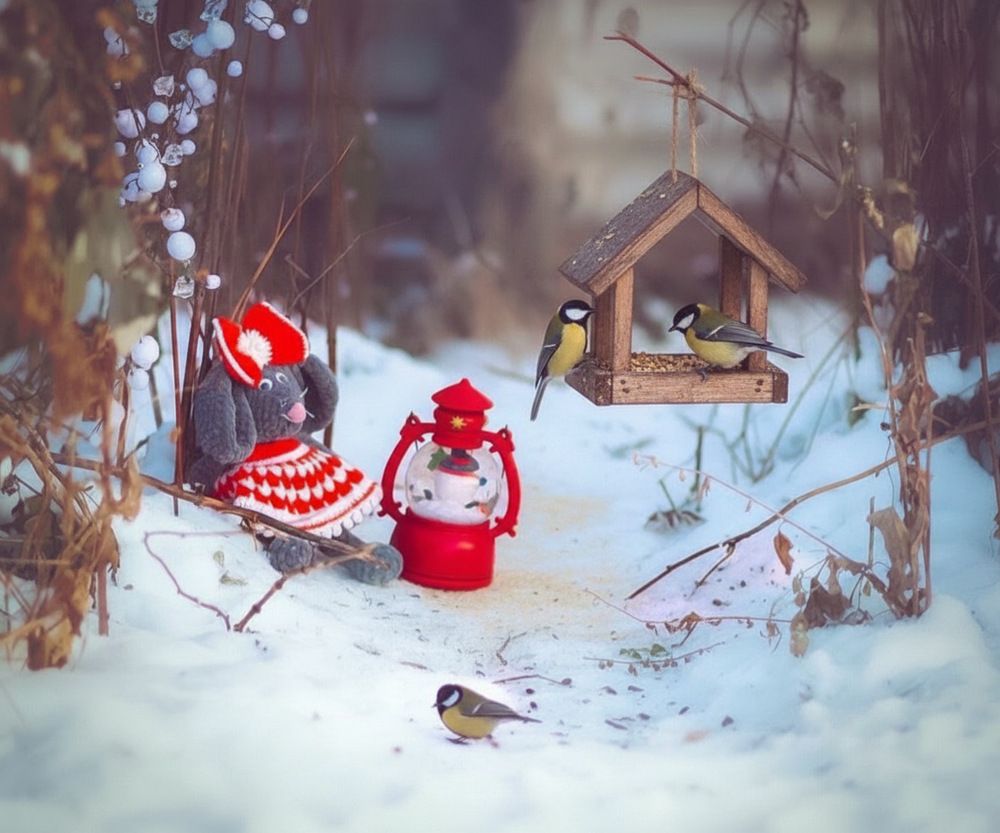 Photograph by Marina Ivanova