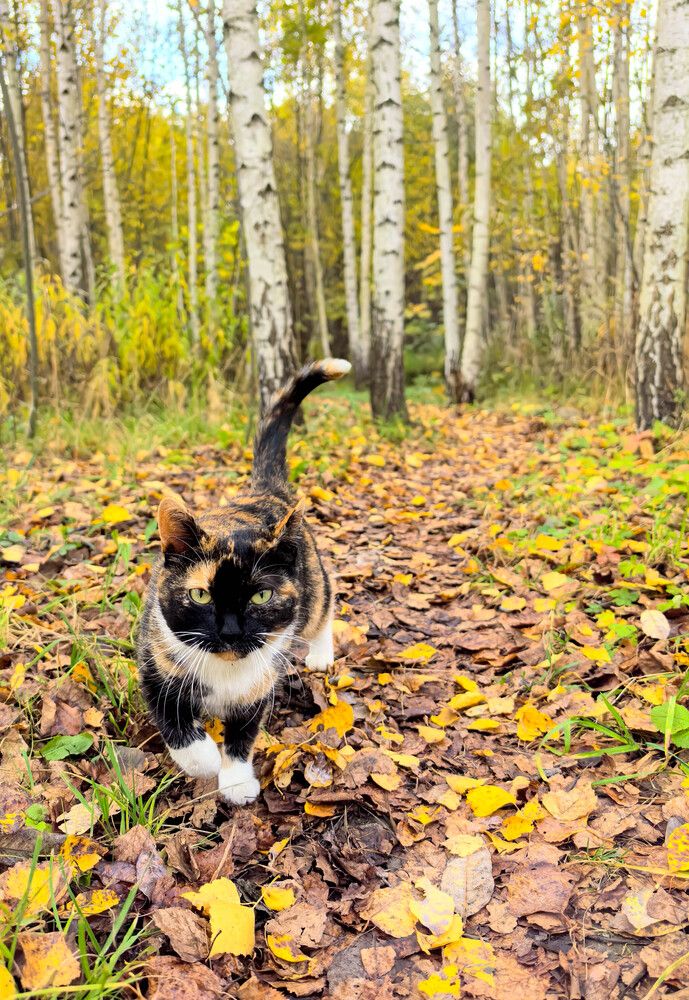 Photograph by Юлия