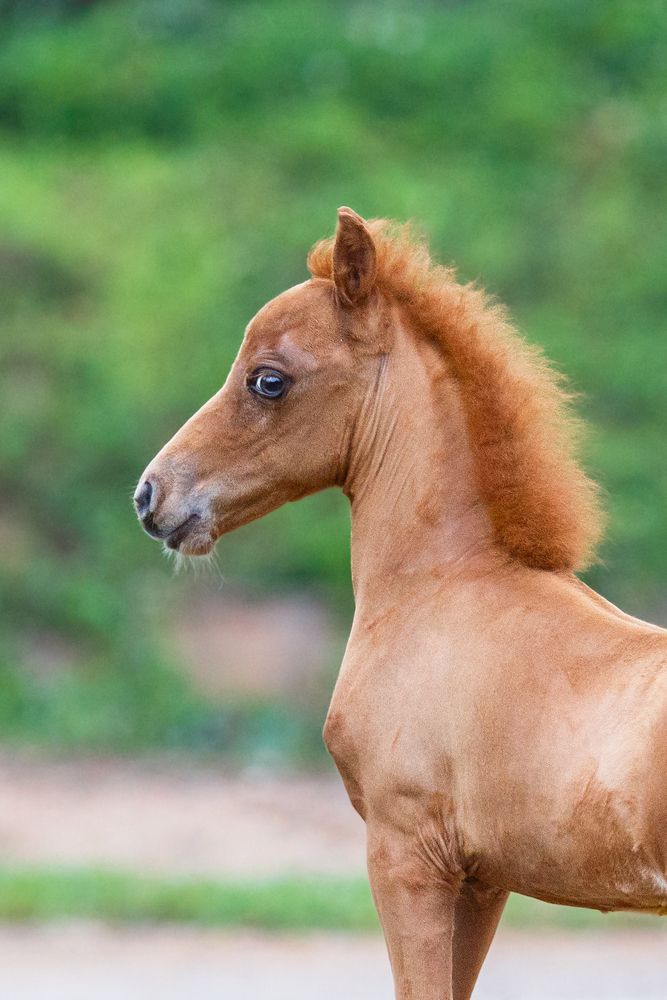 Photograph by Короткевич Валерия