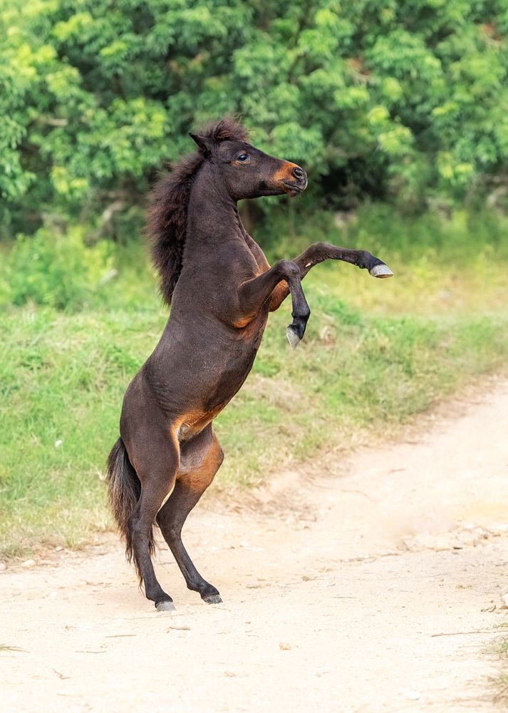 Photograph by Короткевич Валерия