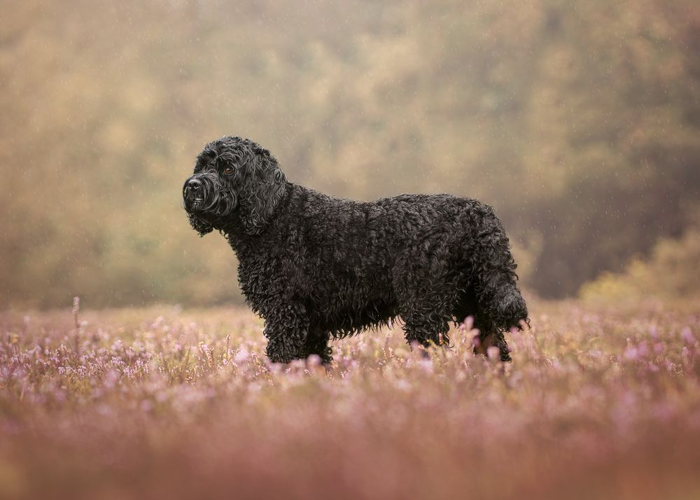 Photograph by Collette Cassell