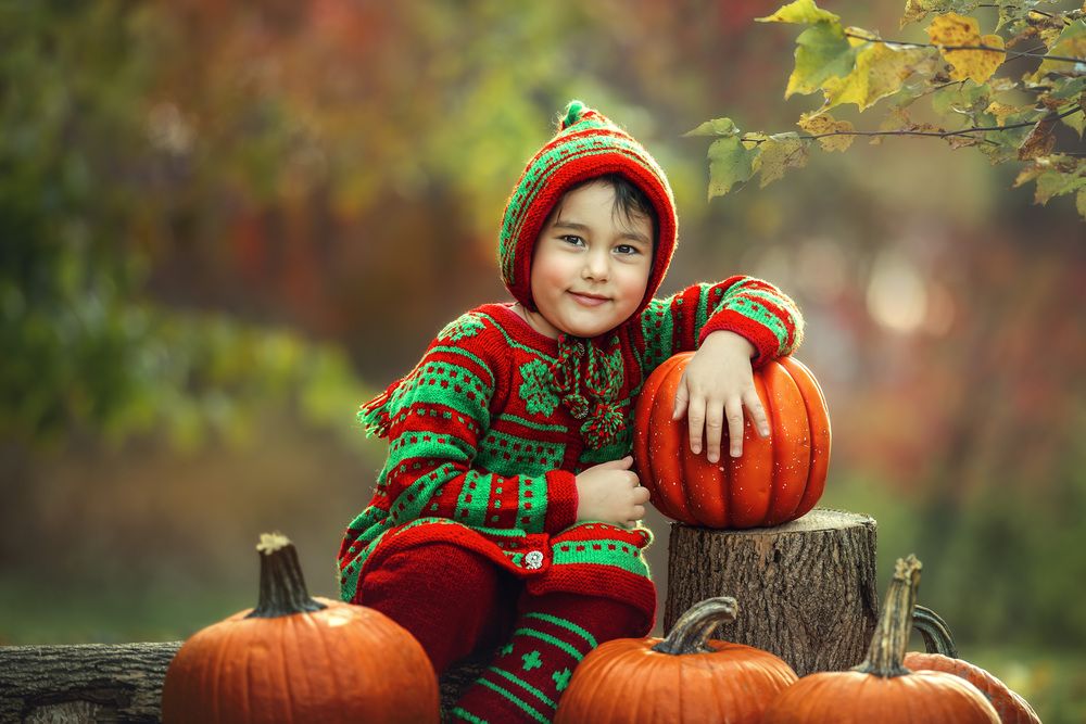 Autumn with Pumpkin