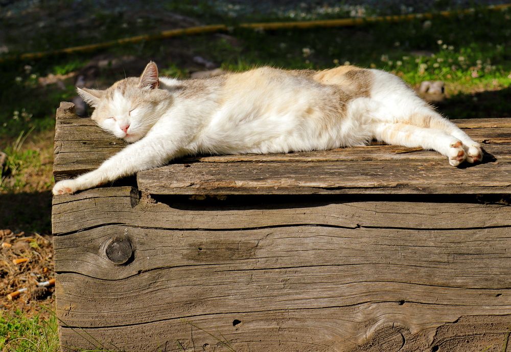 Photograph by Владимир Сафронов