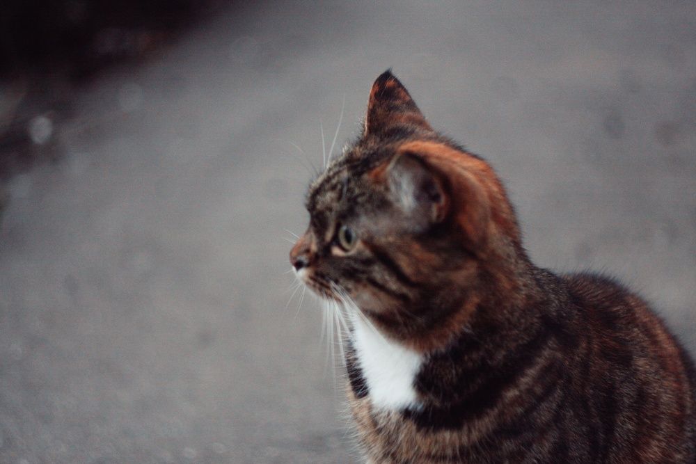 Photograph by Андрей Юдин